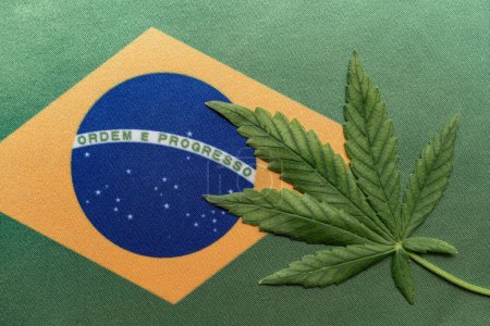 Téléchargez les photos : Drapeau du Brésil en gros plan et feuille de cannabis frais. Culture et distribution illégales. Usage médical. - en image libre de droit
