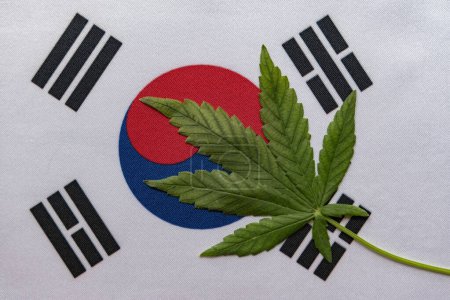 Téléchargez les photos : Drapeau de la Corée du Sud et grande feuille de cannabis vert frais. Culture et distribution illégales. Usage médical - en image libre de droit