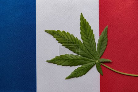 Téléchargez les photos : Drapeau de France et grande feuille de cannabis vert frais. Culture et distribution illégales. Usage médical - en image libre de droit