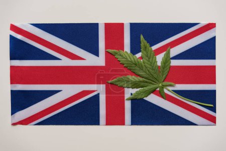 Téléchargez les photos : Drapeau de la Grande-Bretagne en gros plan et feuille de cannabis vert frais. Culture et distribution illégales. Usage médical. - en image libre de droit