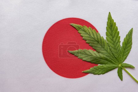 Téléchargez les photos : Gros drapeau du Japon tout près et feuille de cannabis fraîche. Culture et distribution illégales. Usage médical. - en image libre de droit