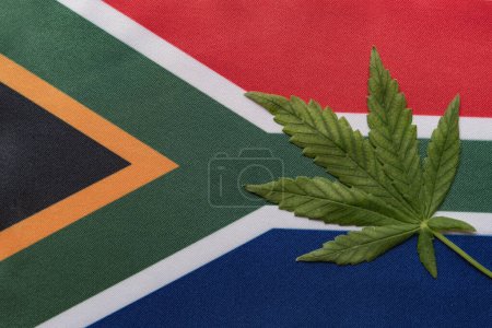 Téléchargez les photos : Grand drapeau de l'Afrique du Sud près et feuille de cannabis frais. Culture et distribution illégales. Usage médical. - en image libre de droit