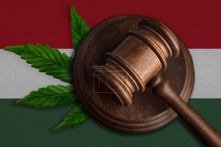 Téléchargez les photos : Gavel en bois Justice avec feuille de cannabis sur le drapeau de Hongrie. Croissance illégale de plantes de cannabis et propagation de drogues. - en image libre de droit