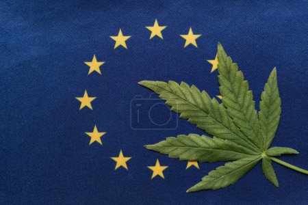 Téléchargez les photos : Feuille de cannabis fraîche et grand drapeau de l'Union européenne de près. Culture et distribution illégales. Usage médical. - en image libre de droit
