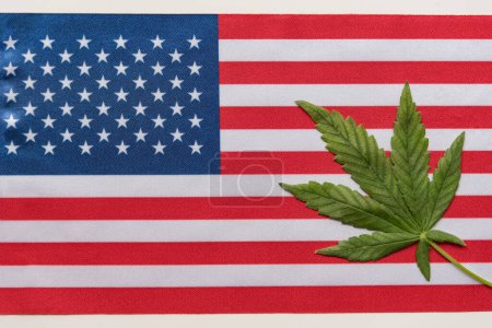 Téléchargez les photos : Le grand drapeau des États-Unis se rapproche et la feuille de cannabis frais. Culture et distribution illégales. Usage médical. - en image libre de droit