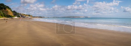 Téléchargez les photos : Les sables de Shanklin Beach à marée basse - en image libre de droit
