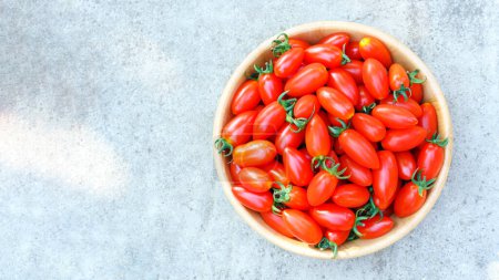 Téléchargez les photos : Petites tomates prunes, variété Solarino (Solarino RZ F1), Hollande, fruité, doux, délicieux, arbre fort, peut être cultivé dans toute la Thaïlande. - en image libre de droit