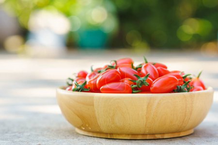 Téléchargez les photos : Tomates Solarino bio dans le système de la maison. - en image libre de droit