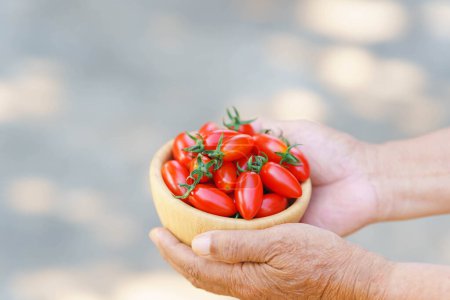 Foto de Taza de mano con tomates cherry rojos frescos sobre fondo borroso. - Imagen libre de derechos