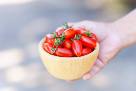Téléchargez les photos : Tasse à main avec tomates cerises rouges fraîches sur fond flou. - en image libre de droit