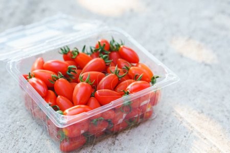 Téléchargez les photos : Tomate Solarino est une variété de Hollande. Le fruit est petit, semblable à une tomate cerise, avec un bon goût, aigre-doux, chair ferme, peu de graines, aucune odeur piquante de tomates, fruité. - en image libre de droit