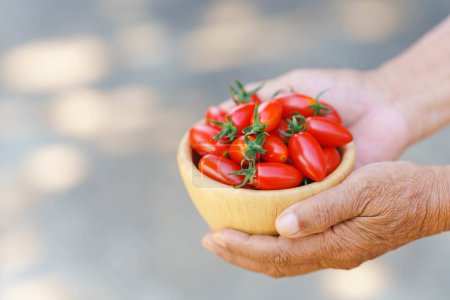 Foto de Taza de mano con tomates cherry rojos frescos sobre fondo borroso. - Imagen libre de derechos