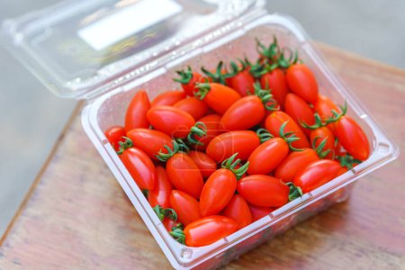 Foto de Pequeños tomates ciruela, variedad Solarino (Solarino RZ F1), Holanda, árbol fructífero, dulce, delicioso, fuerte, se puede cultivar en toda Tailandia. - Imagen libre de derechos