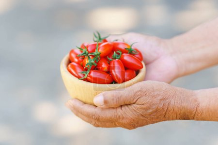 Foto de Man's hand holding a wooden cup with fresh red cherry tomatoes. Copy space. - Imagen libre de derechos