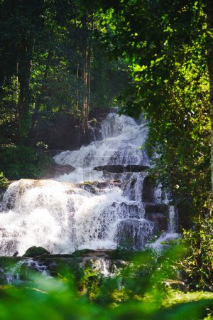 Pha Charoen Wasserfall mit schattigen umliegenden Bäumen im Phop Phra Distrikt, Provinz Tak, Thailand.