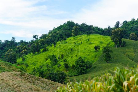The image shows a lush green hillside with a blue sky and white clouds in the background.