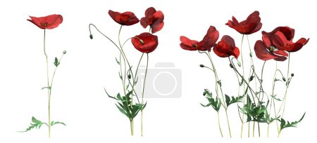 Photo for 3d rendered floral illustration isolated on white - Royalty Free Image