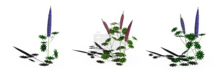 Photo for 3d rendered floral illustration isolated on white - Royalty Free Image