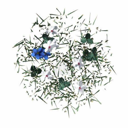 Foto de Hierba de campo salvaje, vista superior, aislado sobre fondo blanco, ilustración 3D, renderizado cg - Imagen libre de derechos