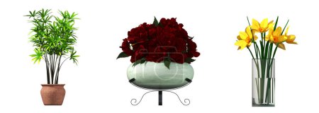 Téléchargez les photos : Decorative flowers and plants for the interior, isolated on white background, 3D illustration, cg render - en image libre de droit