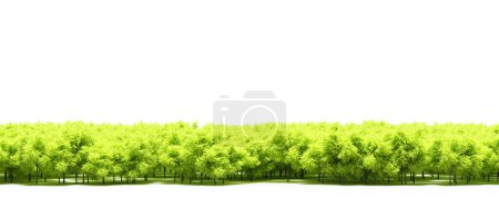 Téléchargez les photos : Freshly green trees foliage in spring - en image libre de droit