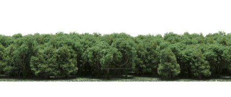 Téléchargez les photos : Lush green trees in forest, nature landscape - en image libre de droit