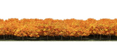 Téléchargez les photos : Bright orange trees in forest during autumn - en image libre de droit