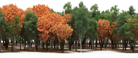 Téléchargez les photos : Forêt automnale avec arbres mixtes verts et orangers - en image libre de droit