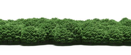 Téléchargez les photos : Forêt printanière avec arbres à feuilles caduques vert vif - en image libre de droit