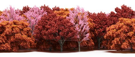 Téléchargez les photos : Pink and crimson trees - natural border - en image libre de droit