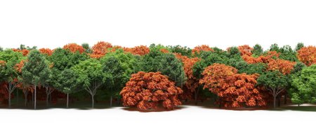 Téléchargez les photos : Green and brown trees during autumn - en image libre de droit