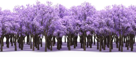 Téléchargez les photos : Fantaisie lilas arbres, fond floral - en image libre de droit