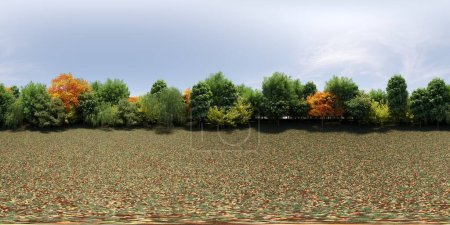 Téléchargez les photos : Panorama à 360 degrés de la forêt, prairie au milieu des arbres, VR, illustration 3D, rendu cg - en image libre de droit