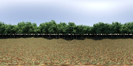 Foto de Panorama de 360 grados del bosque, prado en medio de los árboles, VR, ilustración 3D, cg render - Imagen libre de derechos