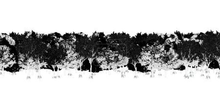 Foto de Árboles blancos y negros en el bosque aislados sobre fondo blanco, boceto, esquema ilustración, cg render - Imagen libre de derechos