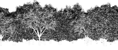 Téléchargez les photos : Arbres noirs et blancs dans la forêt isolés sur fond blanc, croquis, illustration de contour, rendu cg - en image libre de droit