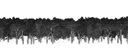 Foto de Árboles blancos y negros en el bosque aislados sobre fondo blanco, boceto, esquema ilustración, cg render - Imagen libre de derechos