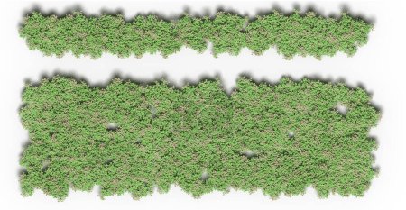 Téléchargez les photos : Arbres dans la forêt, vue de dessus isolée sur fond blanc, illustration 3D, rendu cg - en image libre de droit