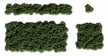 Foto de Árboles en el bosque, vista superior aislada sobre fondo blanco, ilustración 3D, renderizado cg - Imagen libre de derechos