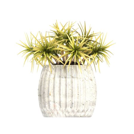 Foto de Flores decorativas y plantas para el interior, vista superior, aislado sobre fondo blanco, ilustración 3D, cg render - Imagen libre de derechos