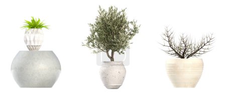 Téléchargez les photos : Fleurs et plantes décoratives pour l'intérieur, vue de dessus, isolé sur fond blanc, illustration 3D, rendu cg - en image libre de droit