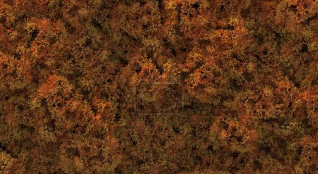 Foto de Árboles en el bosque, vista superior, vista al área, aislado sobre fondo blanco, ilustración 3D, renderizado cg - Imagen libre de derechos