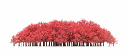 Foto de Group of trees with a shadow on the ground, isolated on a white background, trees in the forest, 3D illustration - Imagen libre de derechos