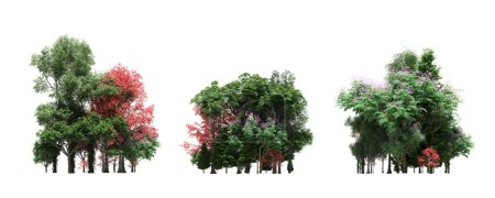 Foto de Group of trees with a shadow on the ground, isolated on a white background, trees in the forest, 3D illustration - Imagen libre de derechos