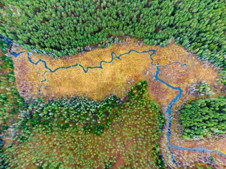 Foto de Aerial view of the bends and loops of the ''Versminis'' river in Lithuania. Dzukija National Park, Europe. - Imagen libre de derechos