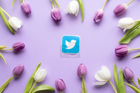 Foto de Primavera tulipanes frescos y twitter icono sobre fondo violeta. Copiar el espacio.. - Imagen libre de derechos