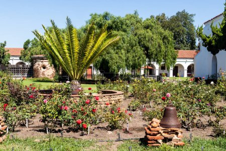 Photo for OCEANSIDE, CALIFORNIA, USA - SEPTEMBER 3, 2021: The Mission San Luis Rey courtyard, along with a Peruvian pepper tree planted in 1830 and known as the first ever of its kind in California. - Royalty Free Image