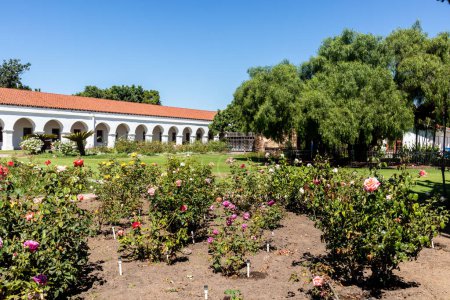 Photo for OCEANSIDE, CALIFORNIA, USA - SEPTEMBER 3, 2021: The Mission San Luis Rey courtyard, along with a Peruvian pepper tree planted in 1830 and known as the first ever of its kind in California. - Royalty Free Image