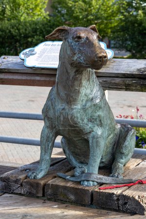 Photo for JUNEAU, ALASKA, USA - AUGUST 20, 2022:  A bronze statue of Patsy Ann, Juneau's most famous dog, created by artist Anna Burke Harris.  Patsy Ann greeted every single ship for more than a decade. - Royalty Free Image