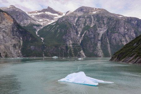 Téléchargez les photos : Un iceberg flottant dans le fjord Tracy Arm, ayant vêlé depuis le glacier South Sawyer près de Juneau, Alaska. - en image libre de droit